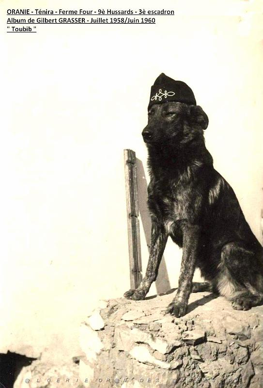 Grasser-9e Hussards - 072.JPG